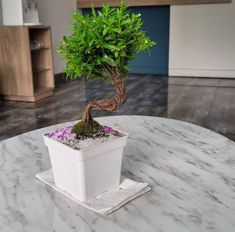 Ambiente Relajante y Moderno - Tu Dentista de Confianza en Lima