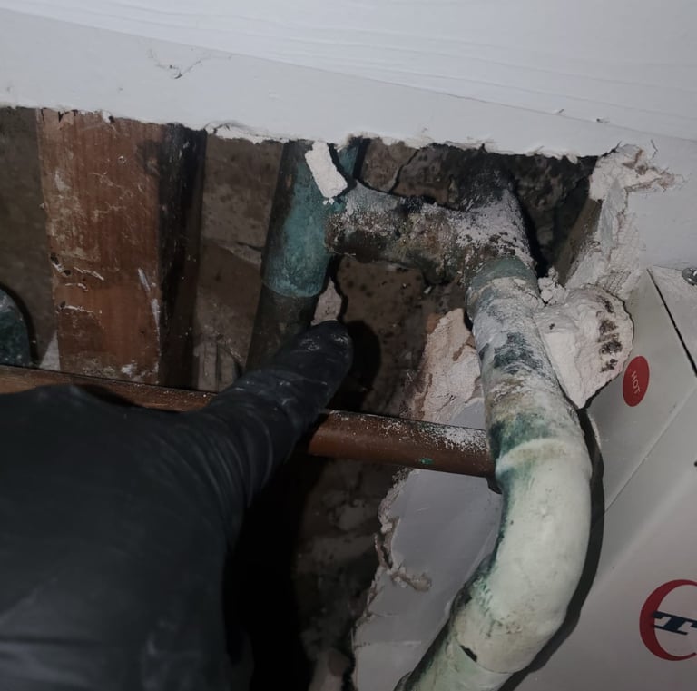 Mold damage