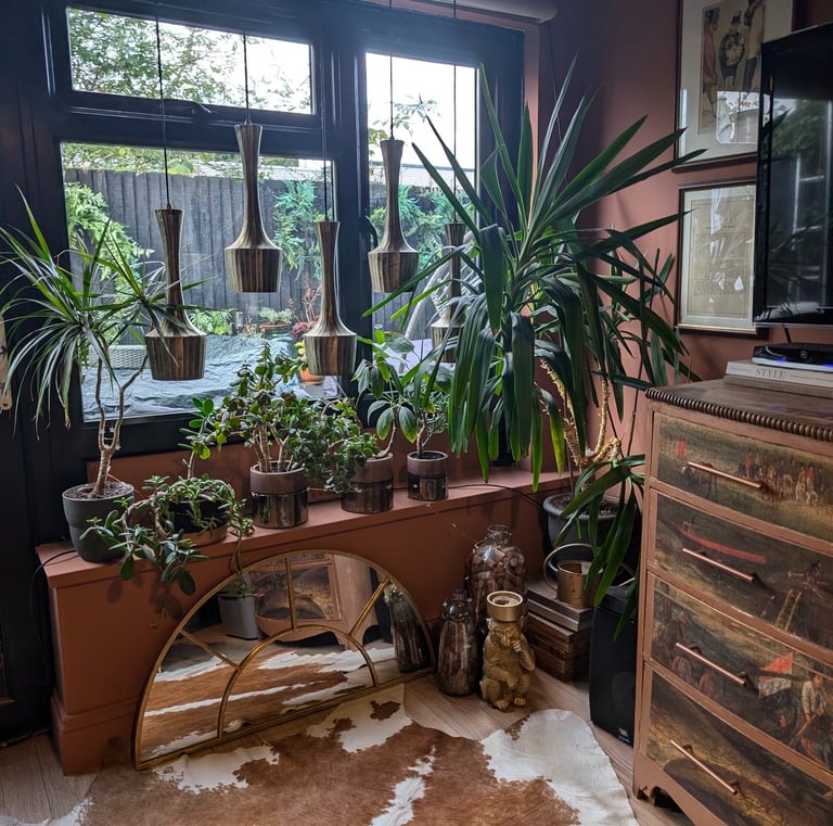a room with a dresser, window sill and plants