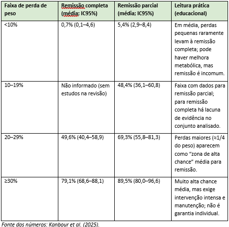 Fonte dos números: Kanbour et al. (2025).