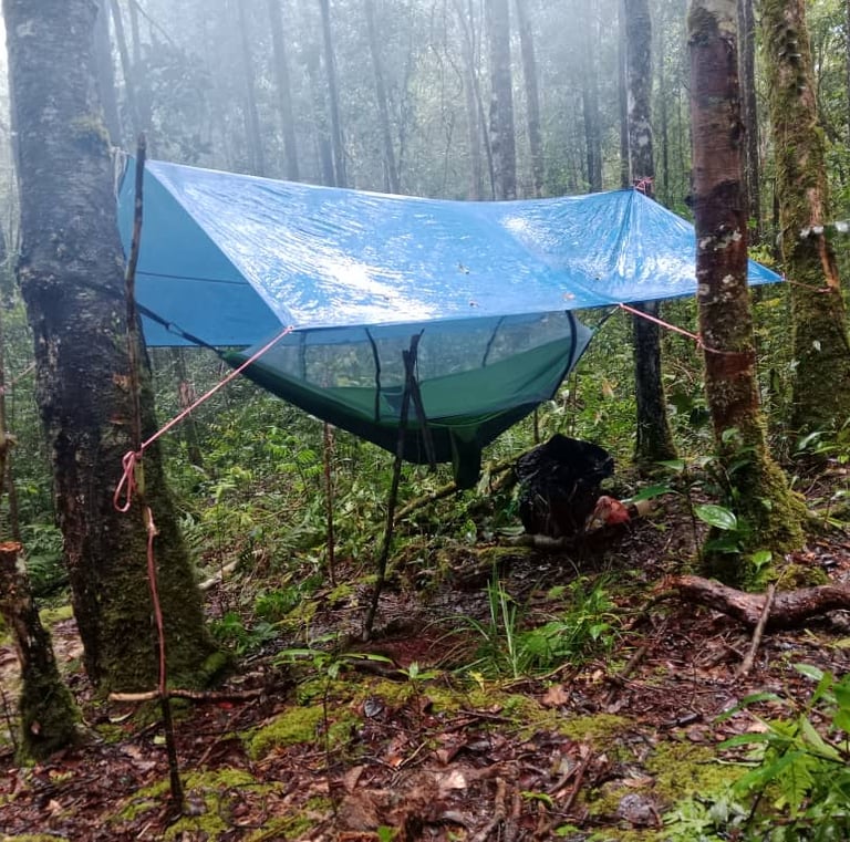 Hammock hanged in between two trees and a tarpaulin spread on top as a roof