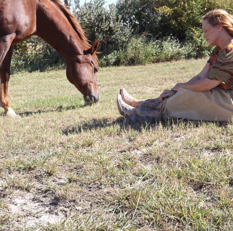 animal communication spiritual direction equestrian