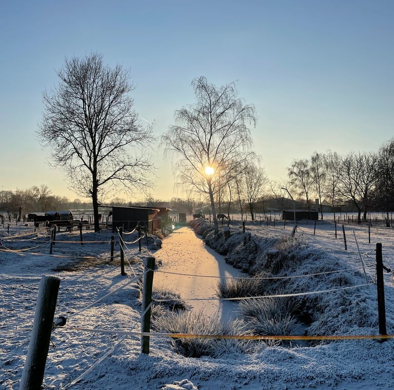 A frost-covered farm landscape at sunrise with a frozen stream, bare trees, and horse paddocks.