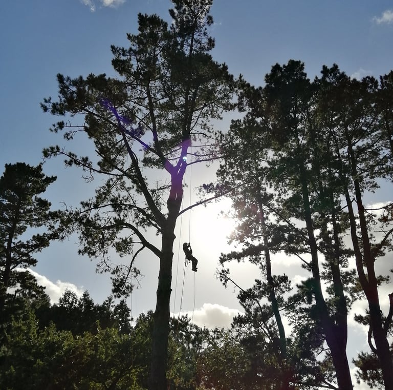 photo prise en CS formation