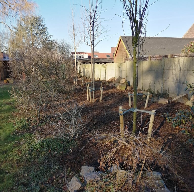 Foto stage Bowline (BE)