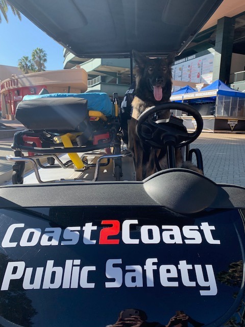 K9 doing EMS and security