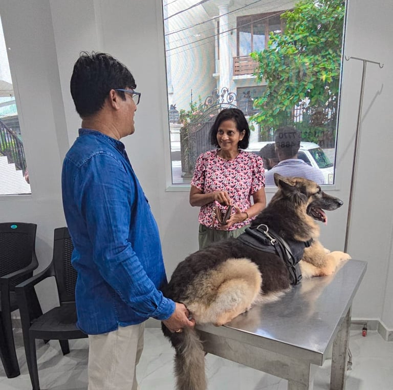 Emergency veterinary care for a large dog at Pet Pulse Animal Hospital in Battaramulla