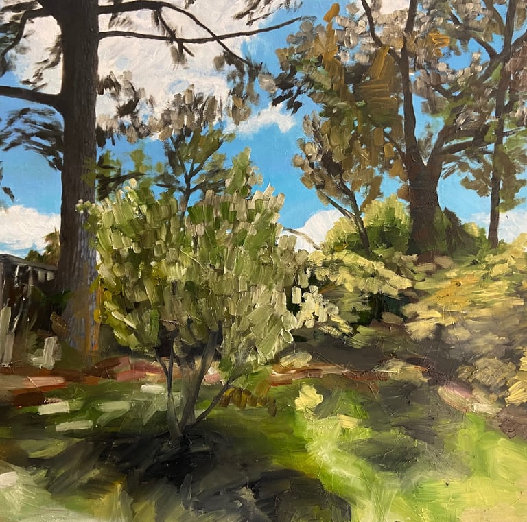 Winter Sun Fin Blood