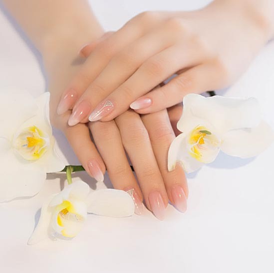 Enchanted Nails & Spa | Gallery