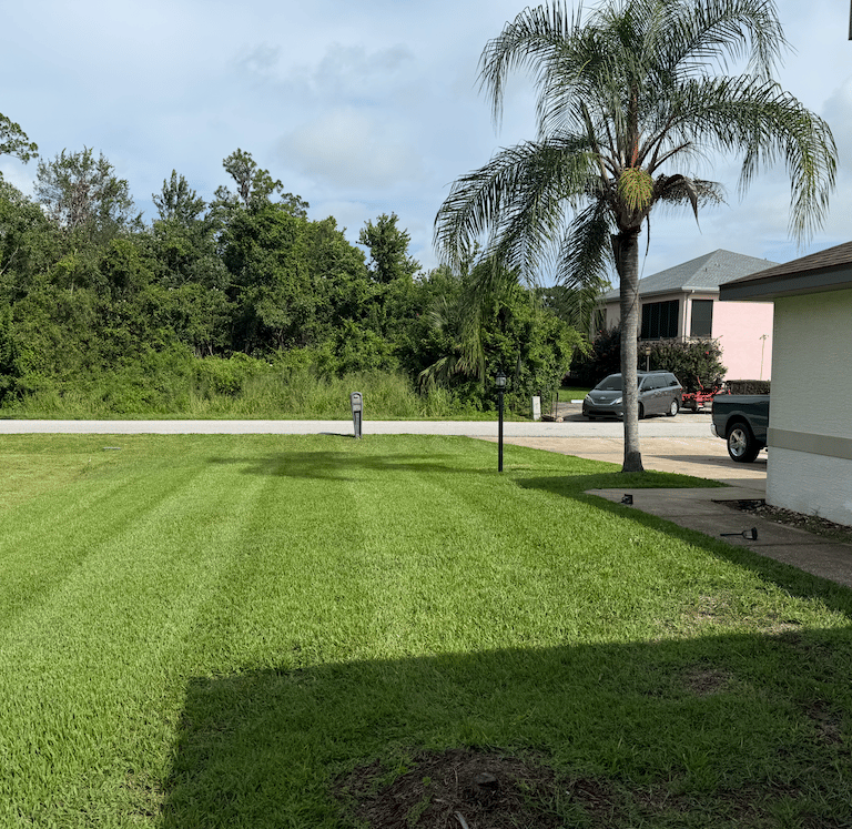 a sebring fl parked in a grassy area with a palm tree
