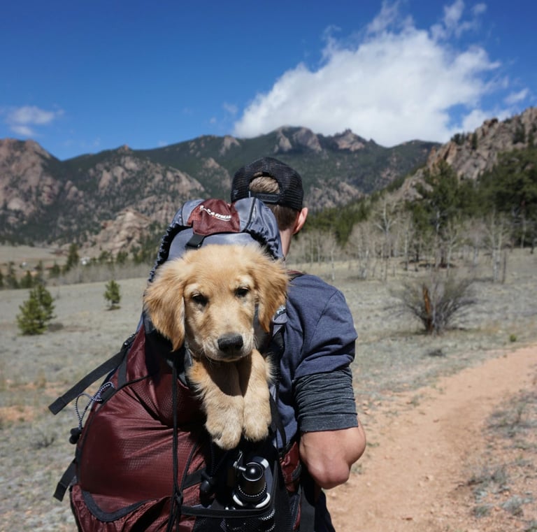 a man with a backpack on a dirt trail in the mountains carrying a puppy dog