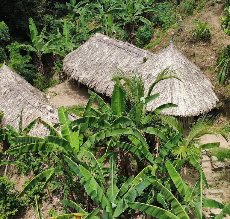 Kogui indigenous houses