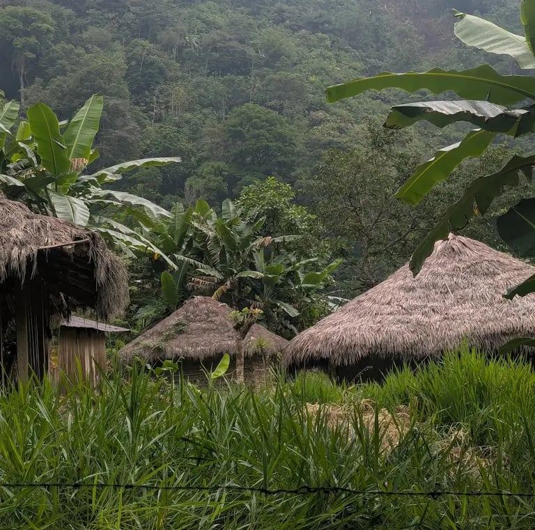 Traditional thatched roof huts in a lush tropical jungle village with banana trees and greenery.