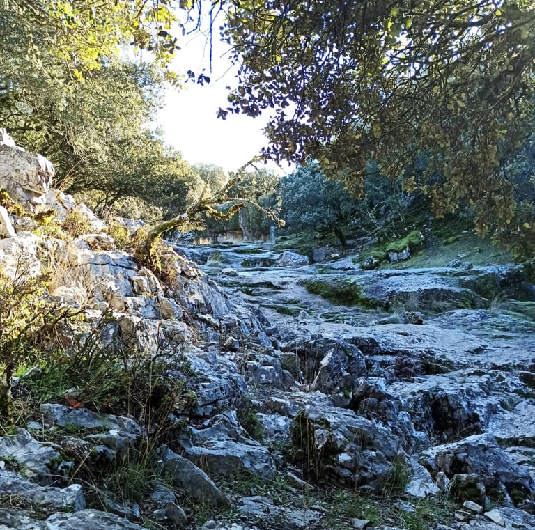 Río Bailón a la altura de las chorreras