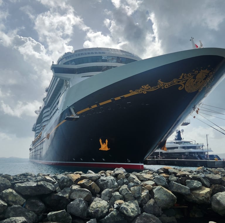 a cruise ship docked at a dock with a cruise ship in the background