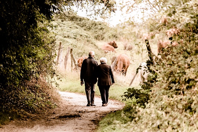couple walking in countryside