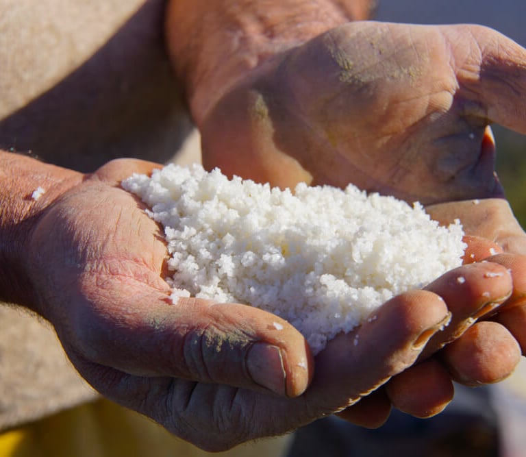 Récolte artisanale de sel marin à la main à Guérande