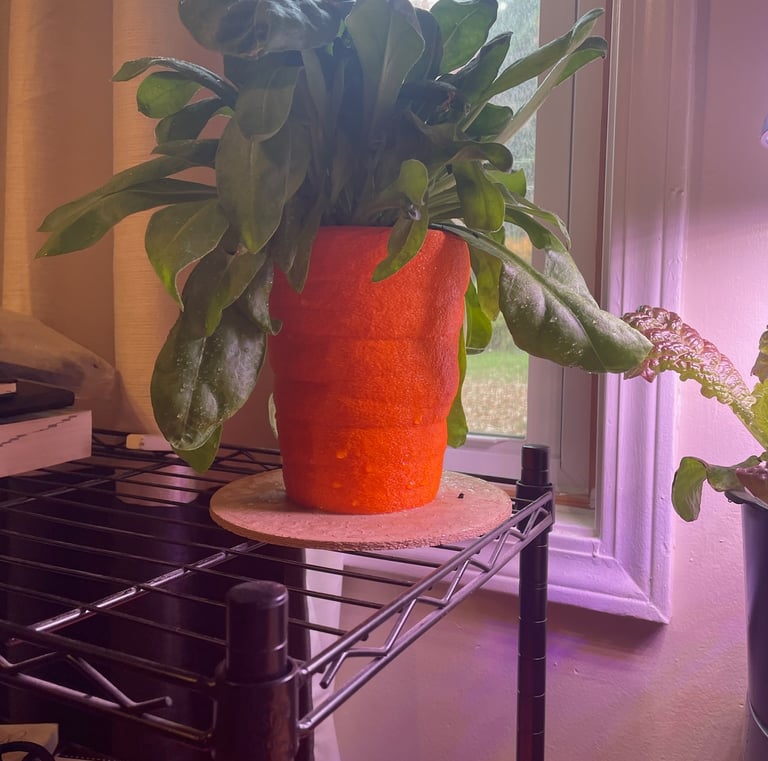 3d printed planter with carrot appearance