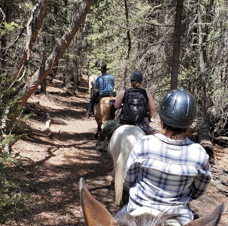a group of people riding horses down a trail