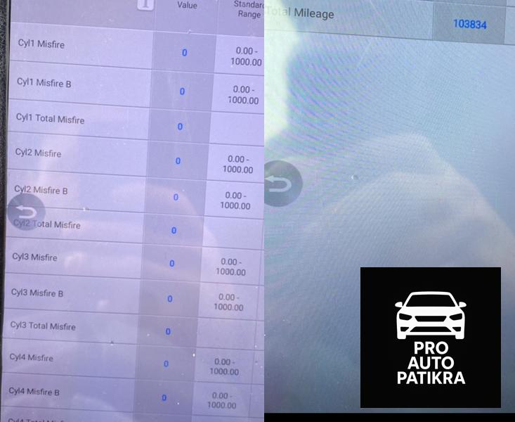 Autopatikra diagnostika