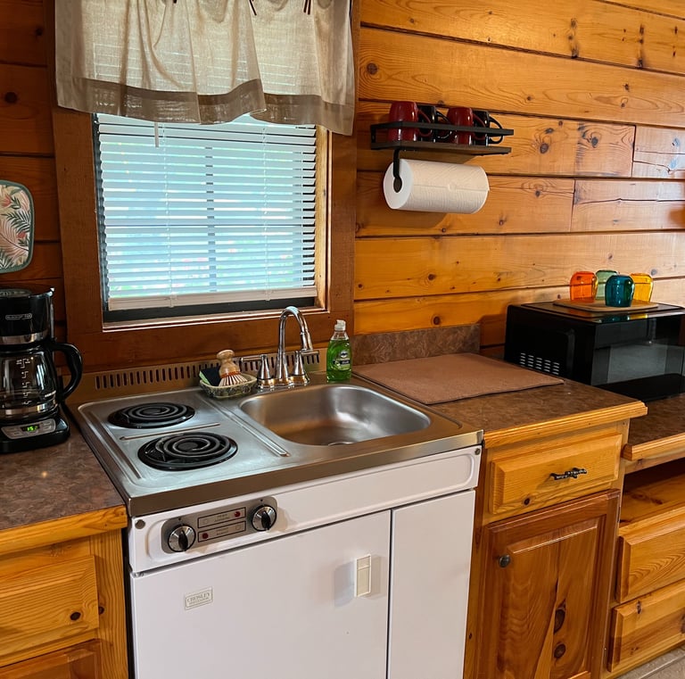 Kitchenette w/microwave/stovetop/mini fridge
