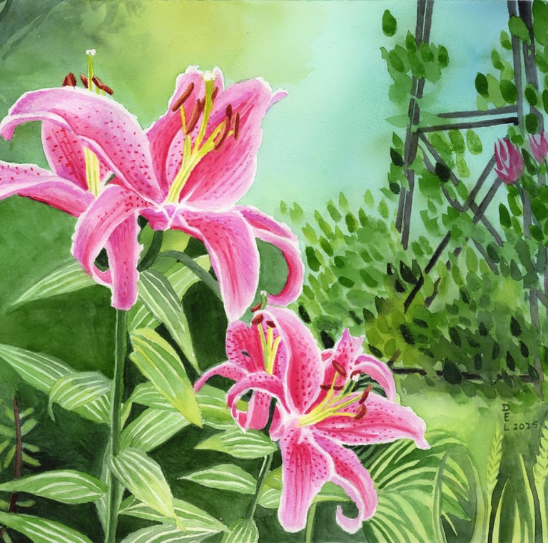 watercolor painting of pink oriental lilies growing in the garden.