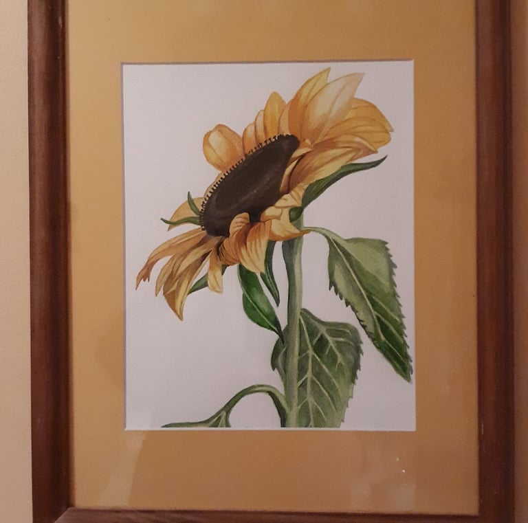 framed watercolor painting of a sunflower