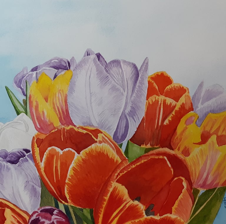 watercolor painting of a tulip bouquet
