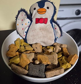 a bowl of treats with one of many squeaky toys