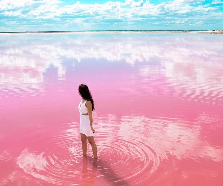 This full-day tour includes round-trip transportation.