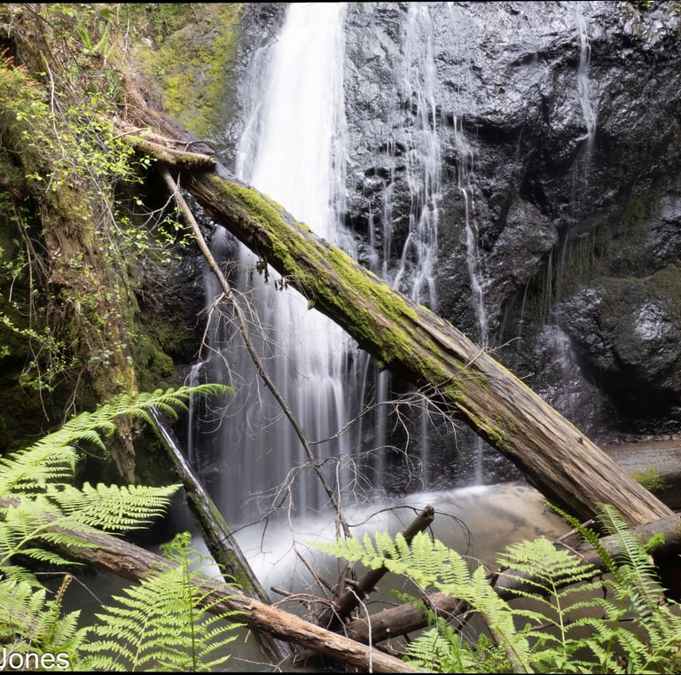 Waterfall in the redwoods, Mendocino County