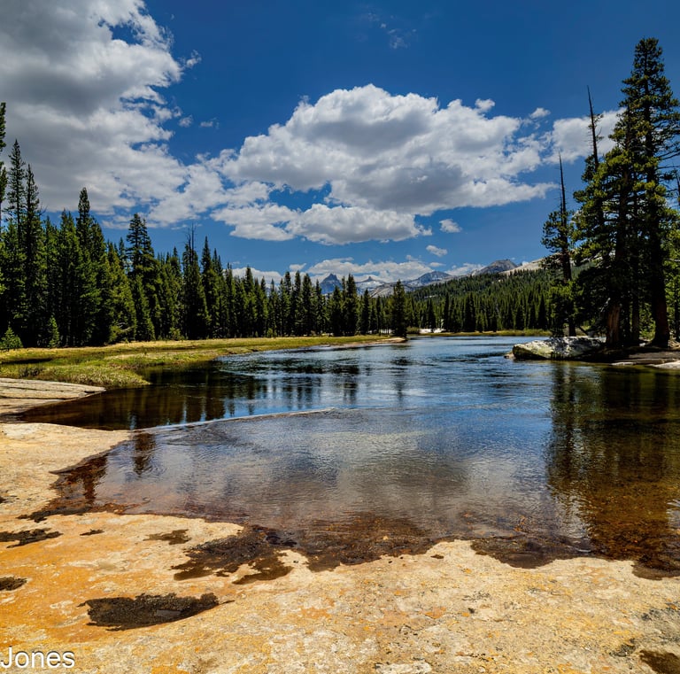 Tuolumne River on the east side of Yosemite National Park