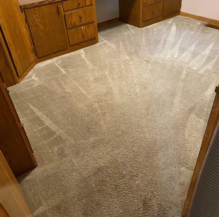 STEAM CLEANED CARPET IN LENEXA KANSAS