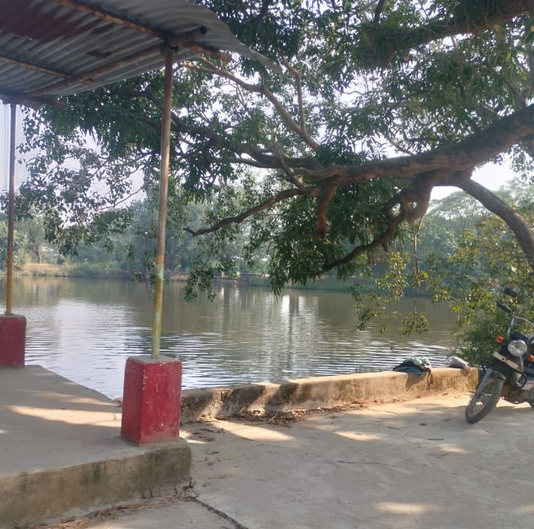 image of pond