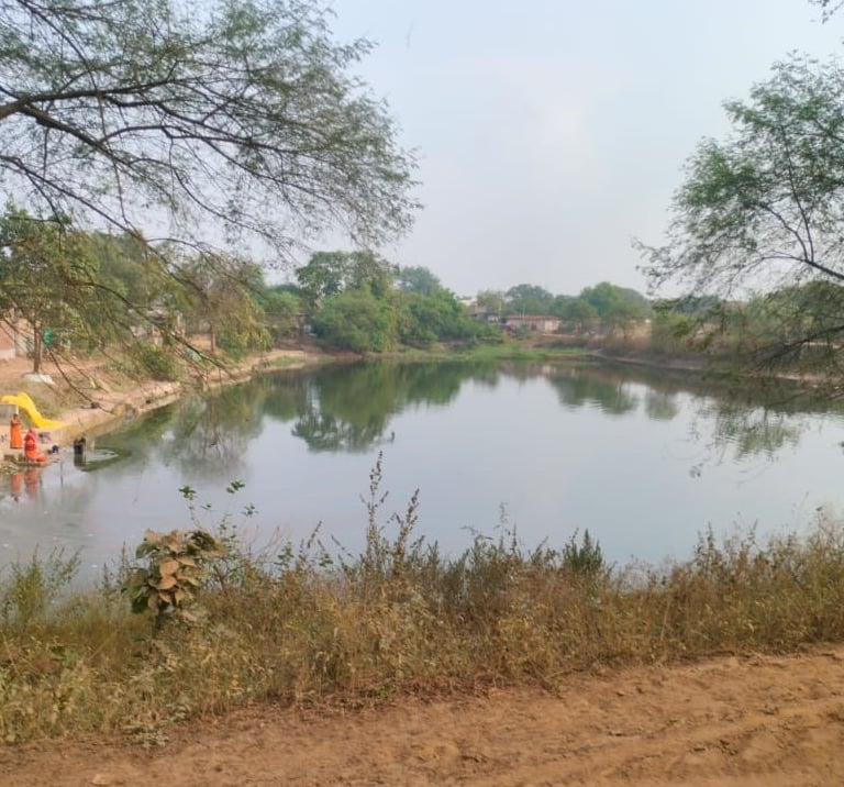 pond