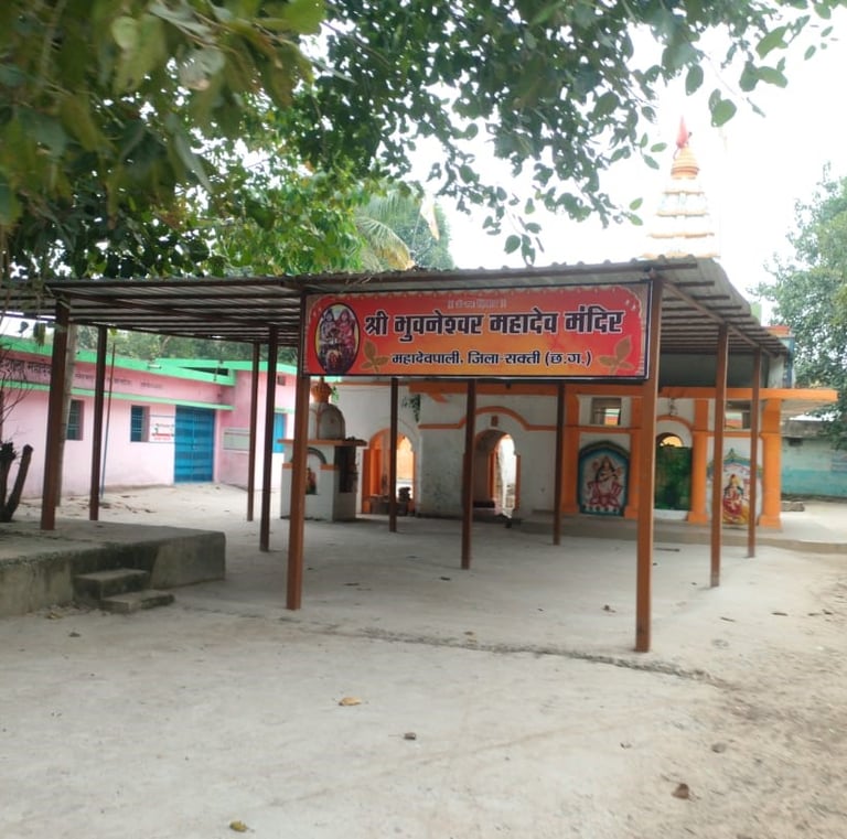 image of tin shad