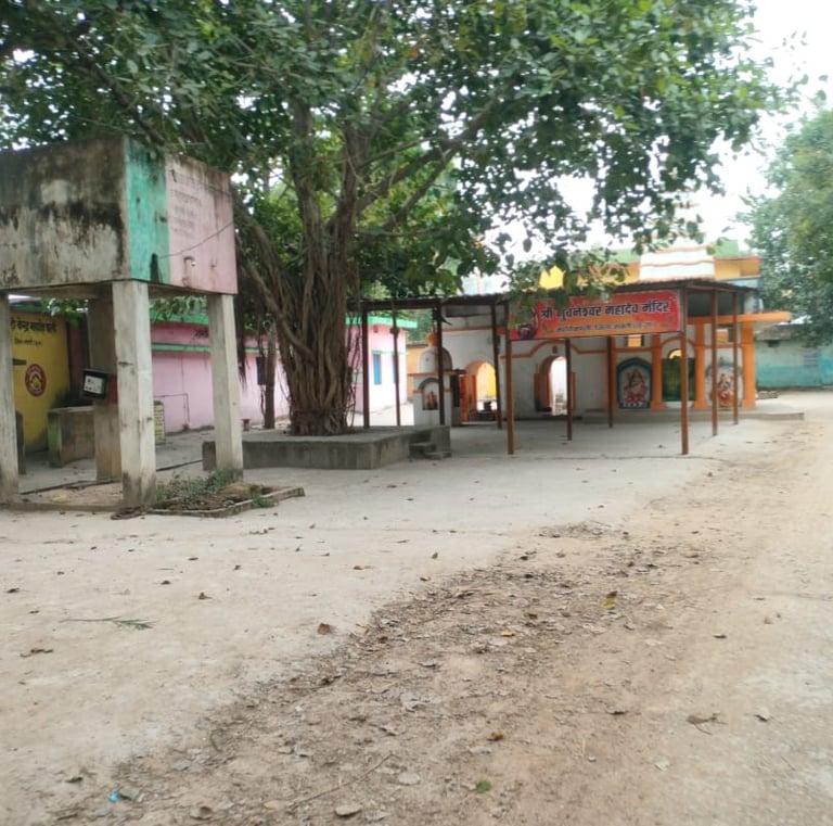 image of tin shad and water tank