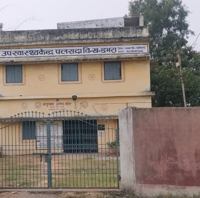 swasthya kendar palsada