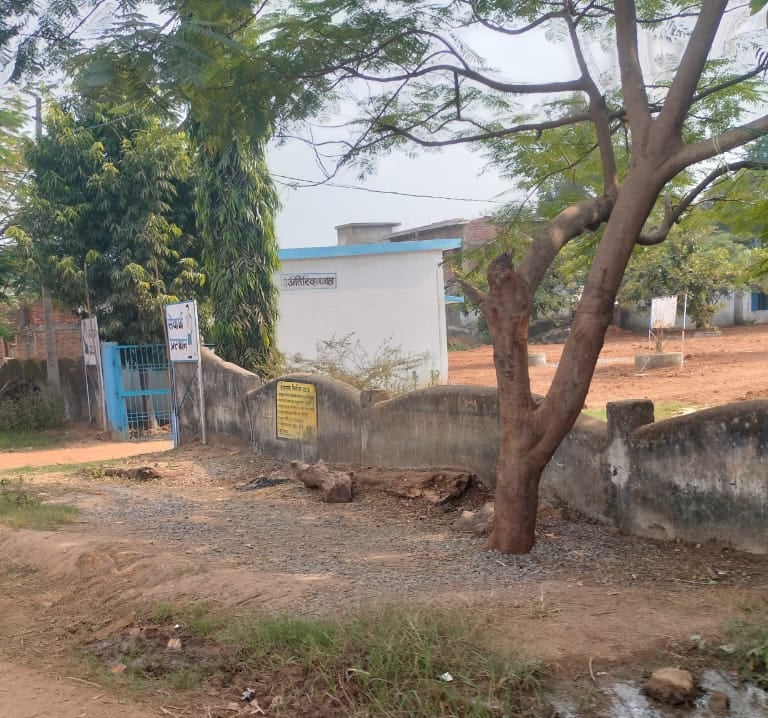 image of boundry wall and tree