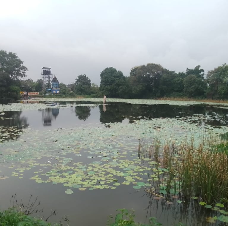 pond