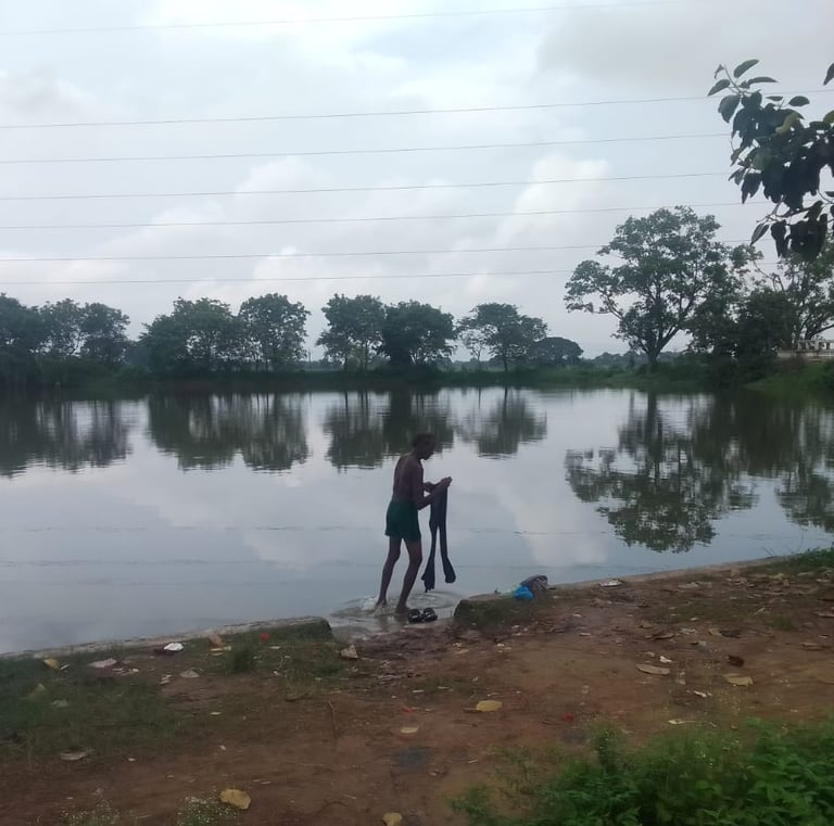 pond
