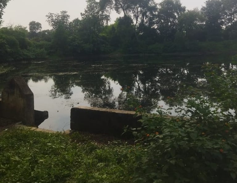 pond