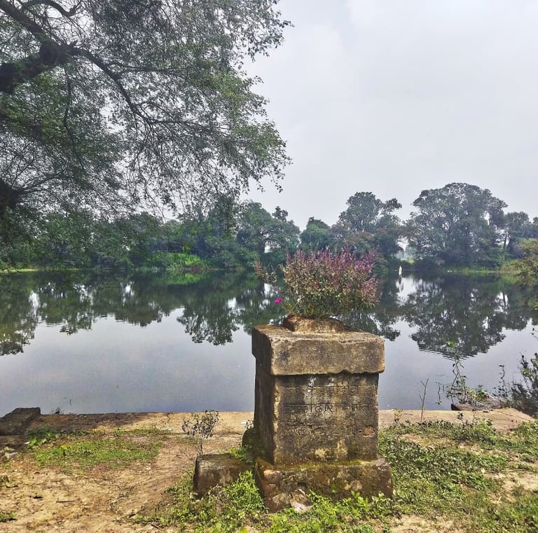 pond