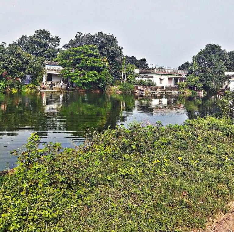 pond