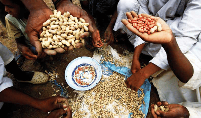 groundnut's 