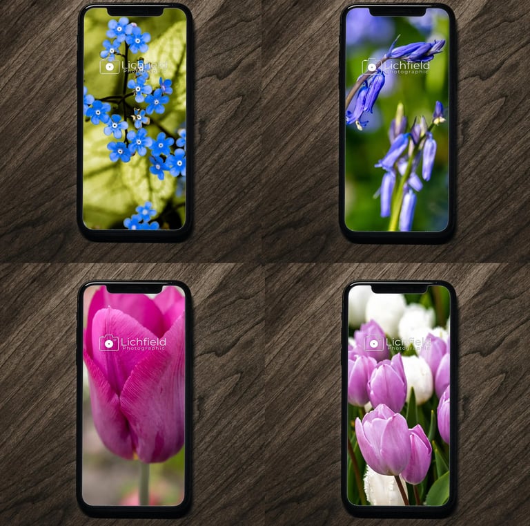 a bunch of flowers are shown on a wooden table