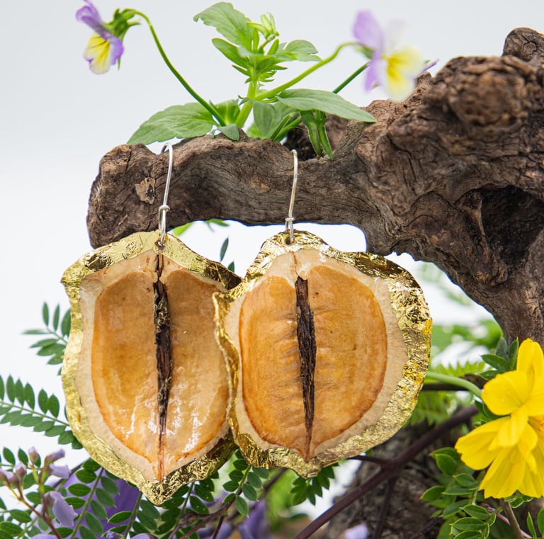 jacaranda seedpod earrings with gold foil trim