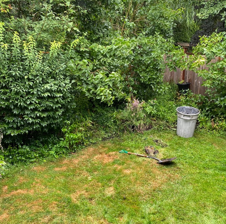 unkept and overgrown flower bed
