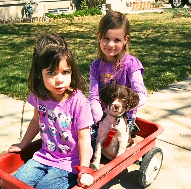 two young girls in wagon with a puppy brittany spaniel dog