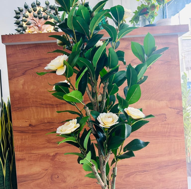 Artificial Plants Shop Near Me